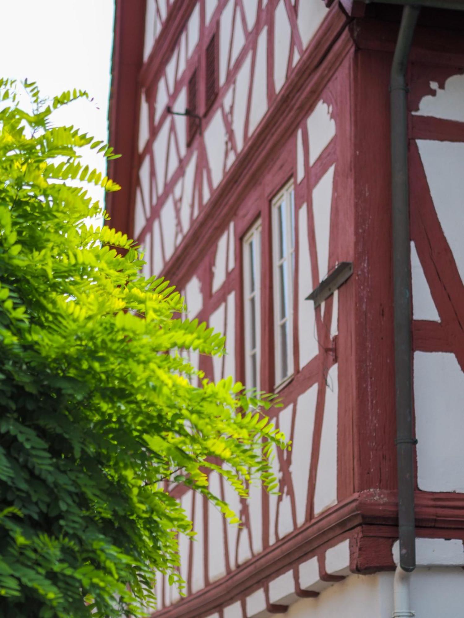 Weinstrasse No 8 "Einfach-Gut-Uebernachten" Leinsweiler Kültér fotó